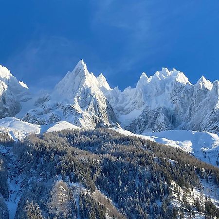 Chamonix Superbe Appartement Vue Mont Blanc 外观 照片