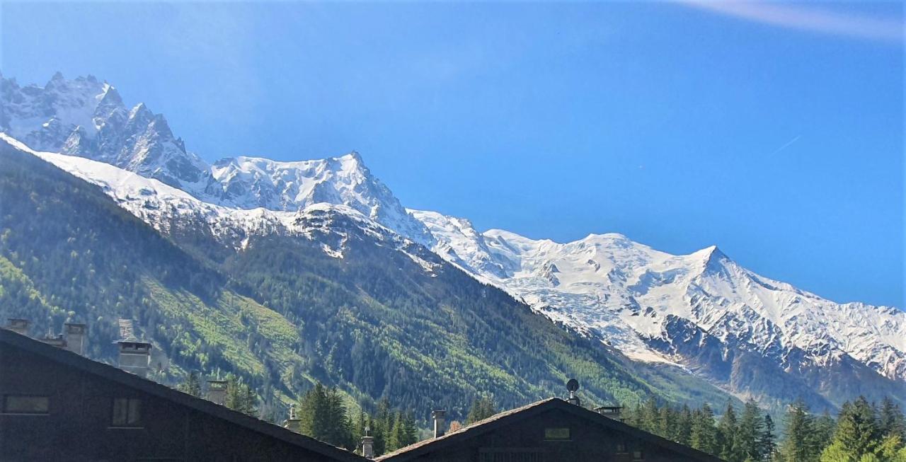 Chamonix Superbe Appartement Vue Mont Blanc 外观 照片