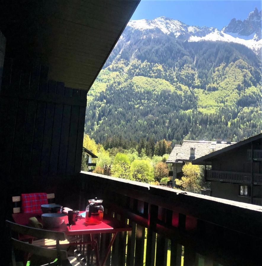 Chamonix Superbe Appartement Vue Mont Blanc 外观 照片