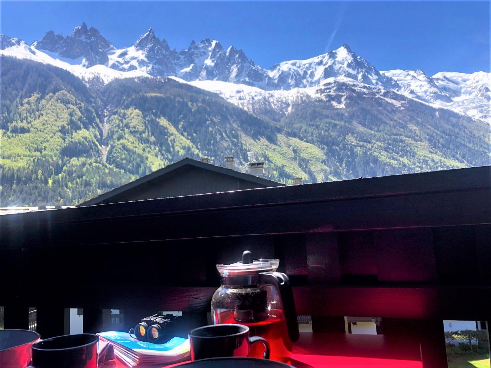 Chamonix Superbe Appartement Vue Mont Blanc 外观 照片