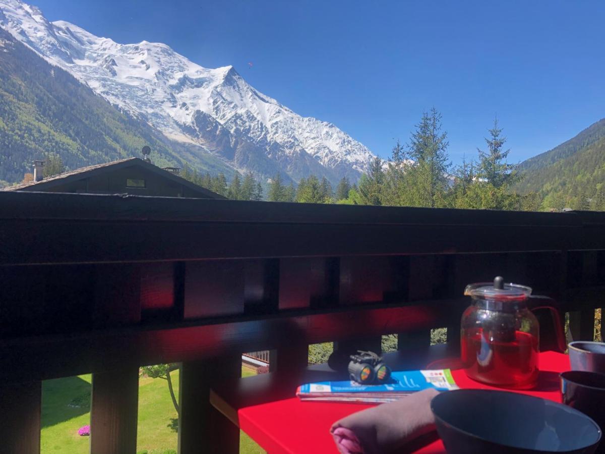 Chamonix Superbe Appartement Vue Mont Blanc 外观 照片