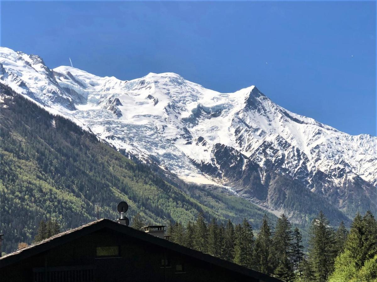 Chamonix Superbe Appartement Vue Mont Blanc 外观 照片
